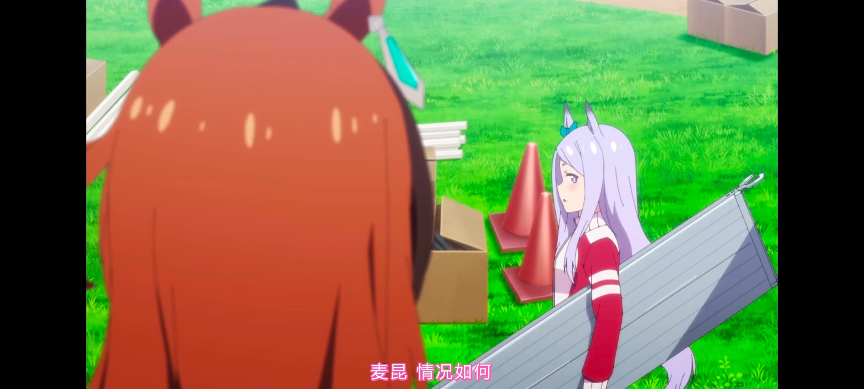 赛马娘,赛马娘PrettyDerby,赛马娘第二季,番剧,动画,动漫,二次元,ACG