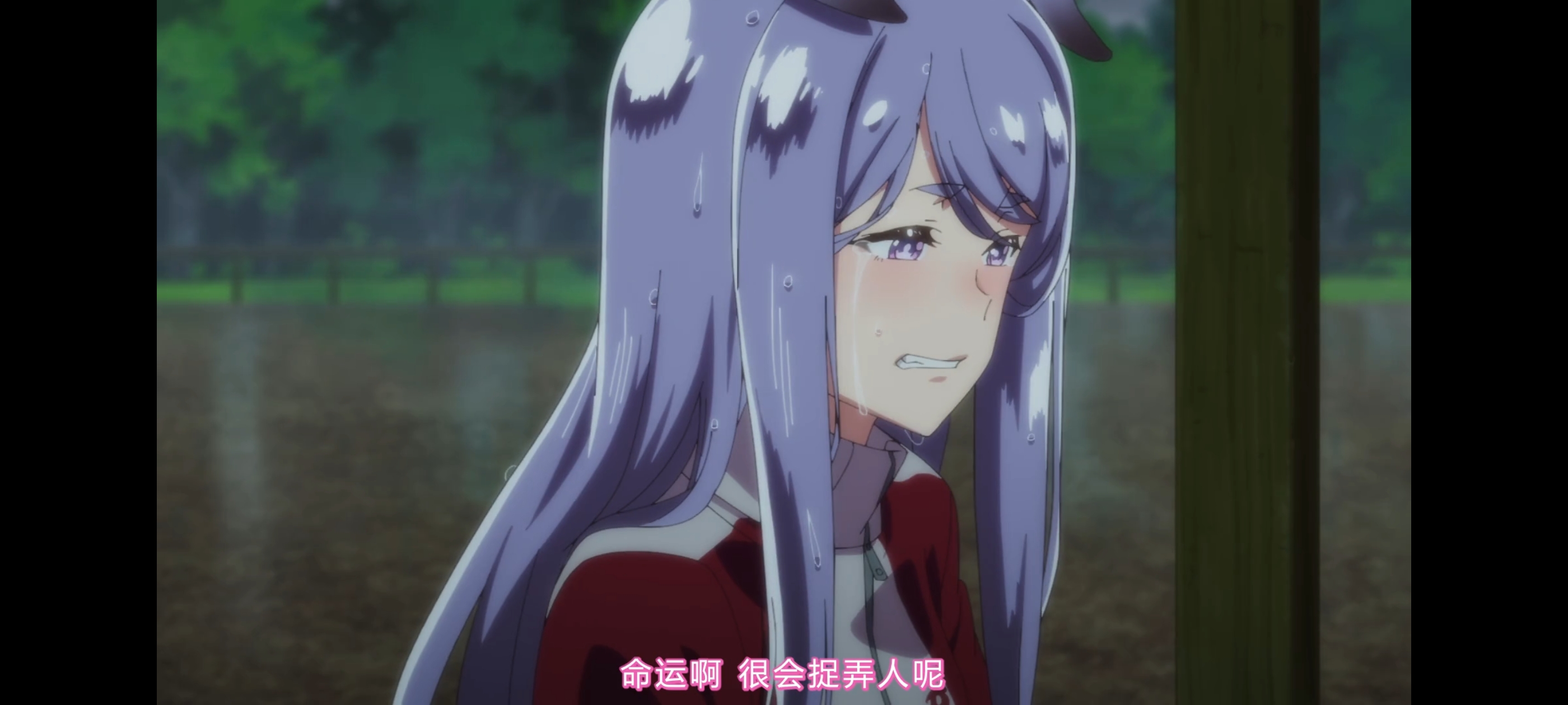 赛马娘,赛马娘第二季,赛马娘PrettyDerby,动画,动漫,番剧,二次元,ACG