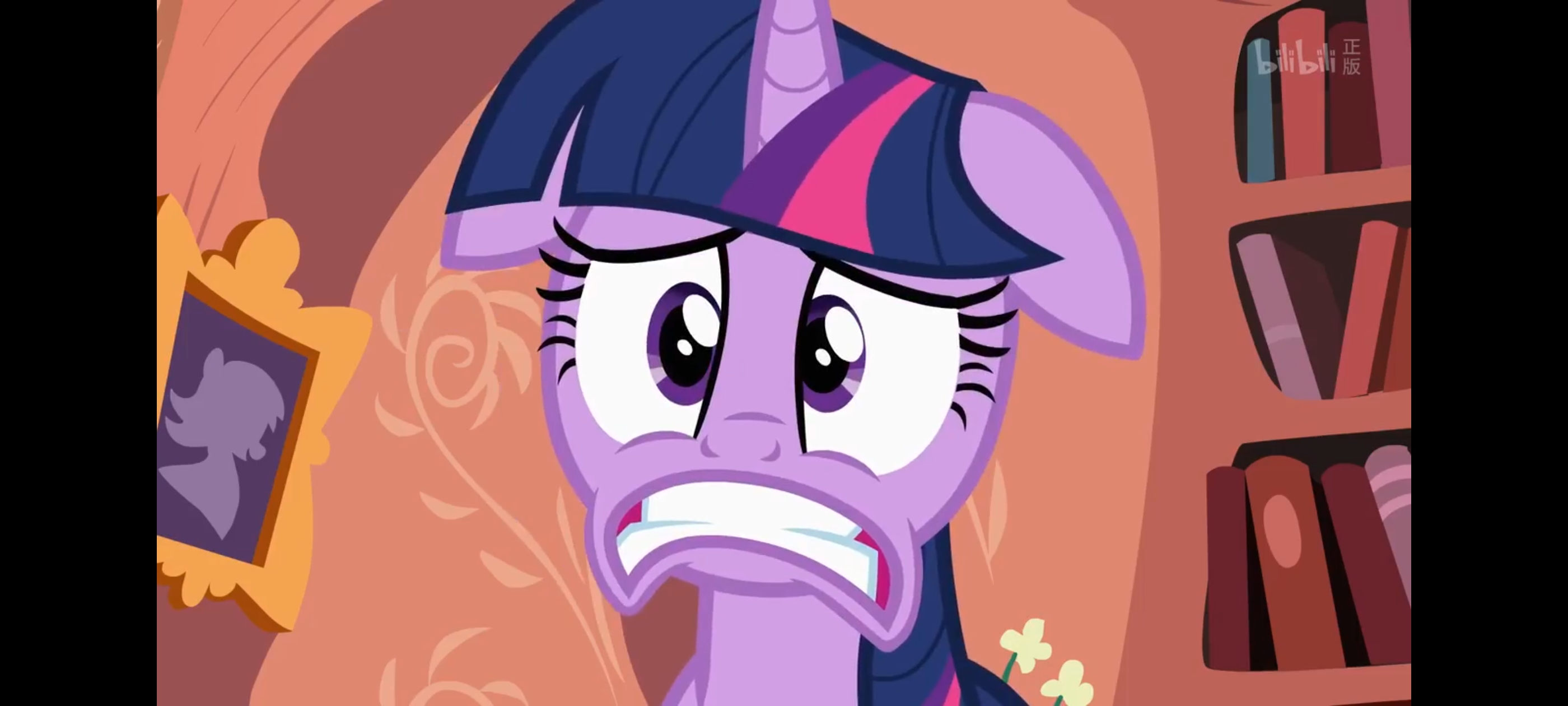 小马宝莉,彩虹小马,我的小马驹,动画,动漫,番剧,二次元,ACG