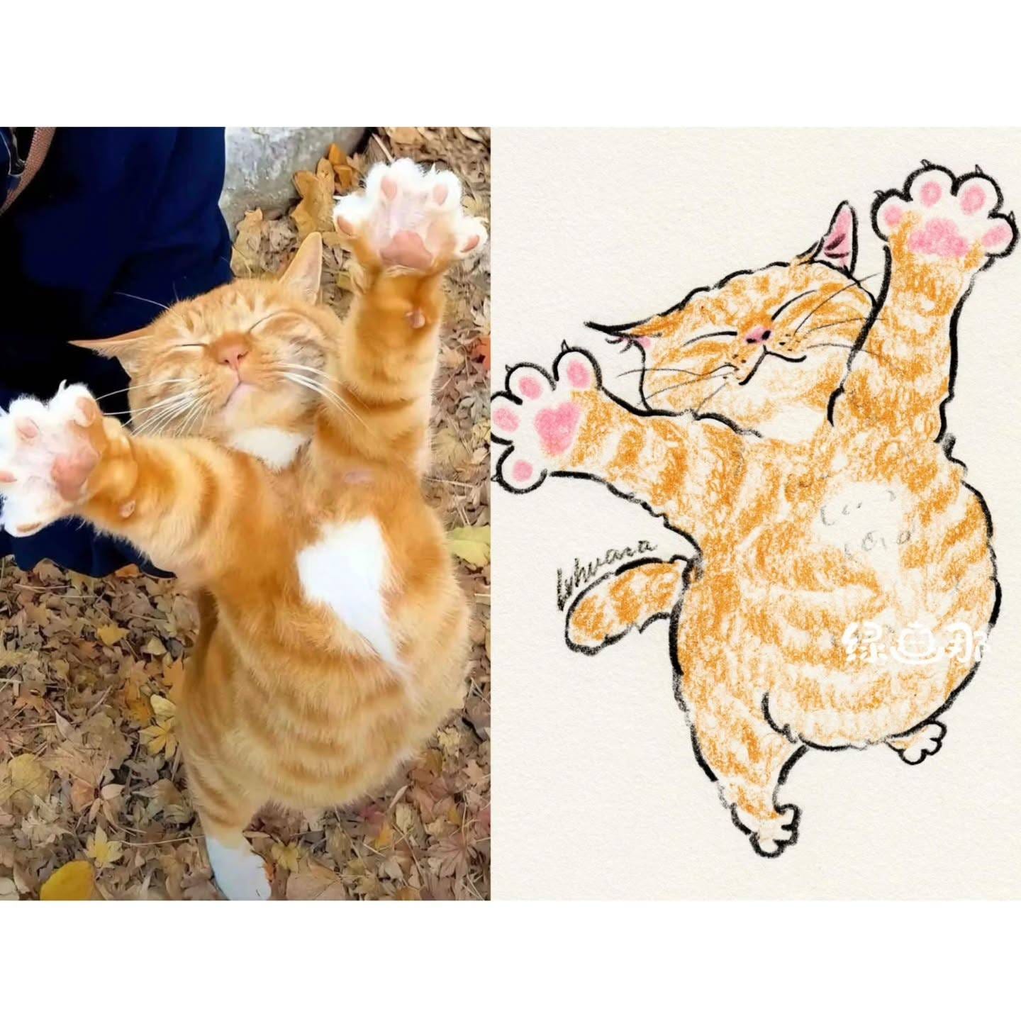 绿画那,插画,猫猫,可爱