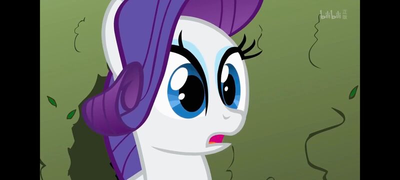 小马宝莉,小马宝莉友谊魔法,彩虹小马,我的小马驹,动画,动漫,番剧,ACG