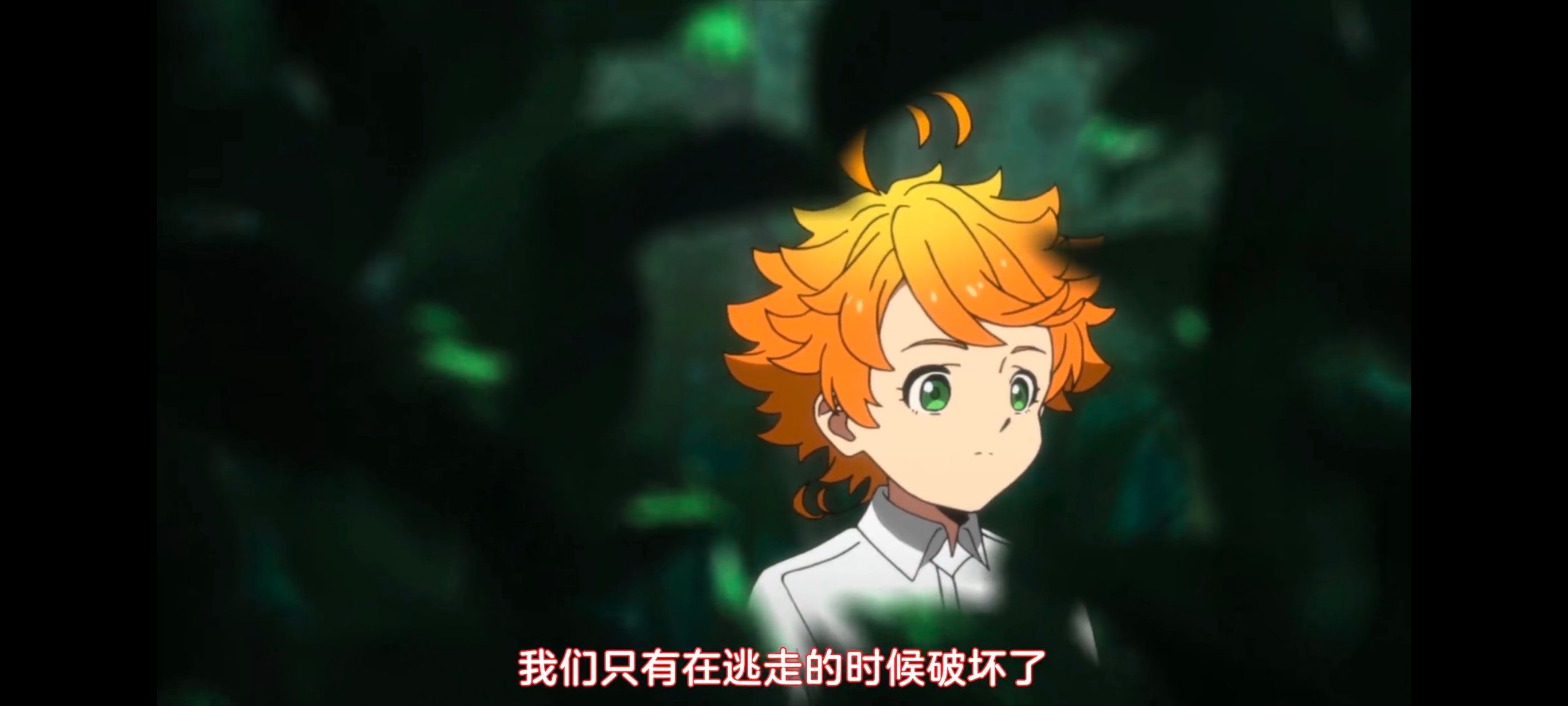 约定的梦幻岛,动画,动漫,番剧,ACG