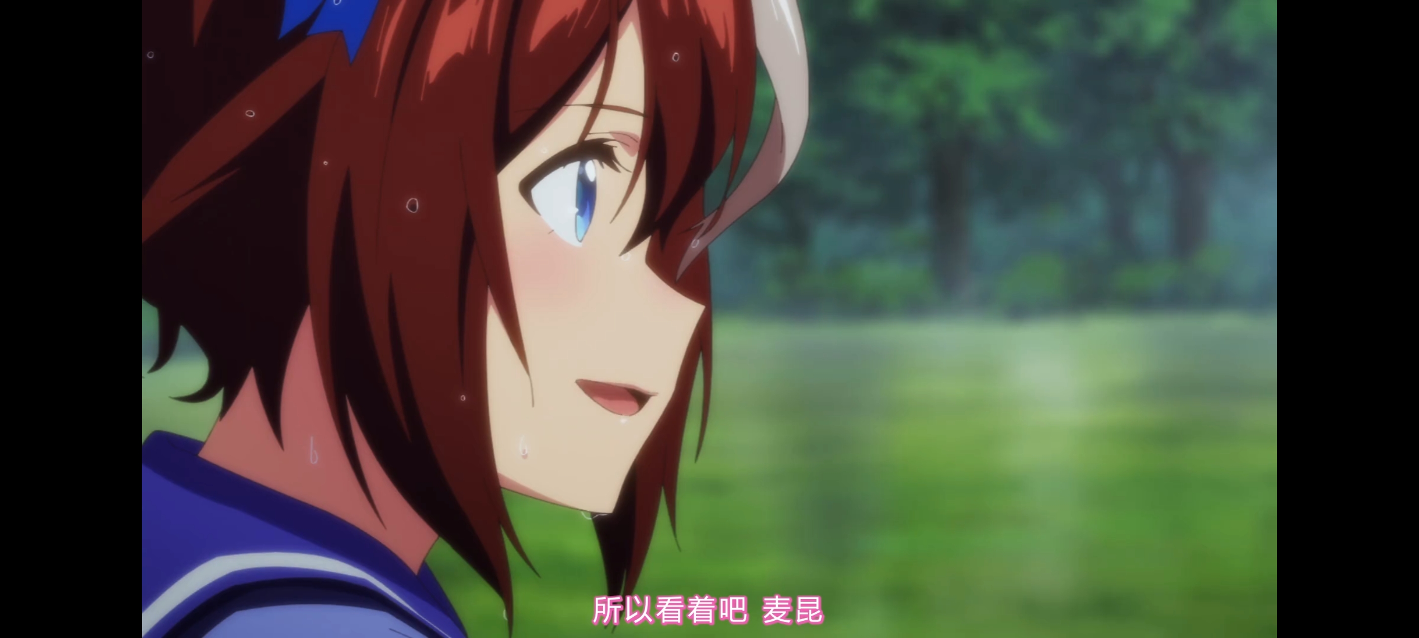 赛马娘,赛马娘第二季,赛马娘PrettyDerby,动画,动漫,番剧,二次元,ACG