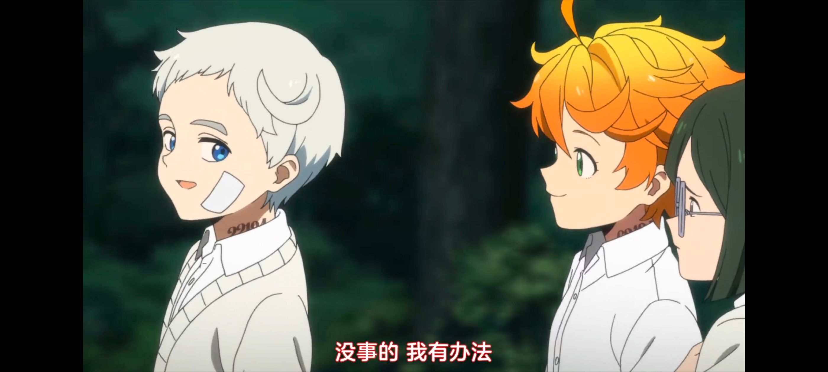 约定的梦幻岛,动画,动漫,番剧,ACG