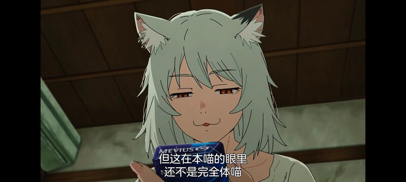 雅尼猫,尼古喵喵,动画,动漫,番剧,二次元,日漫,ACG