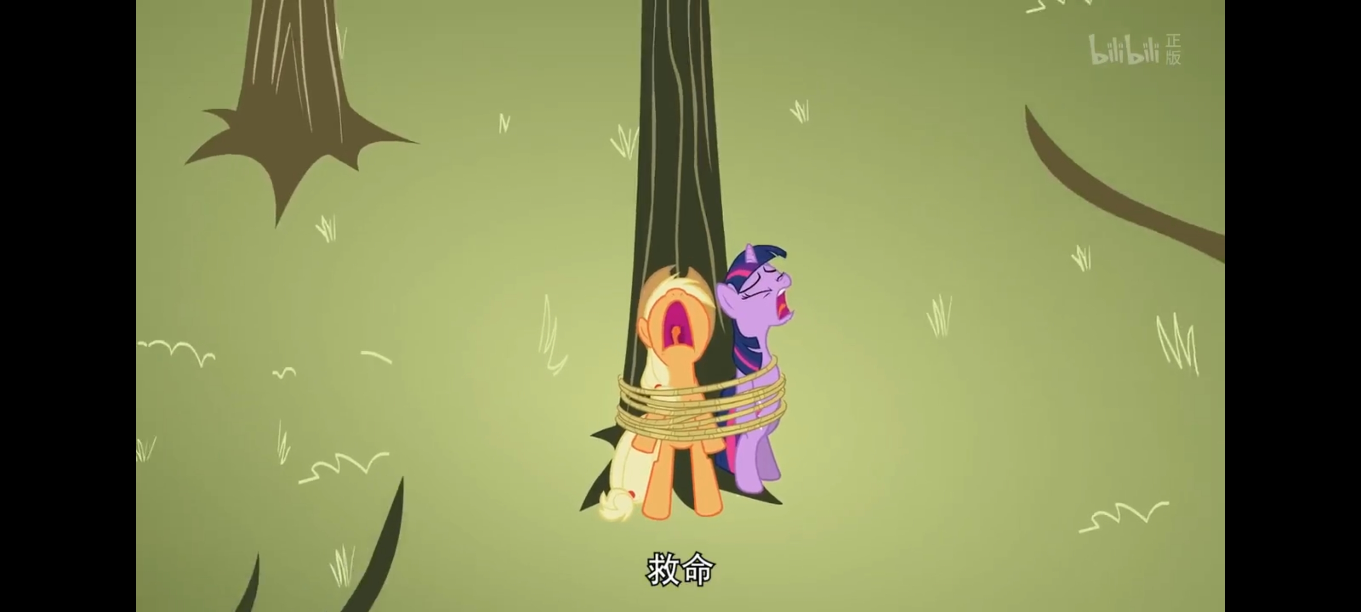 小马宝莉,彩虹小马,我的小马驹,动画,动漫,番剧,二次元,ACG