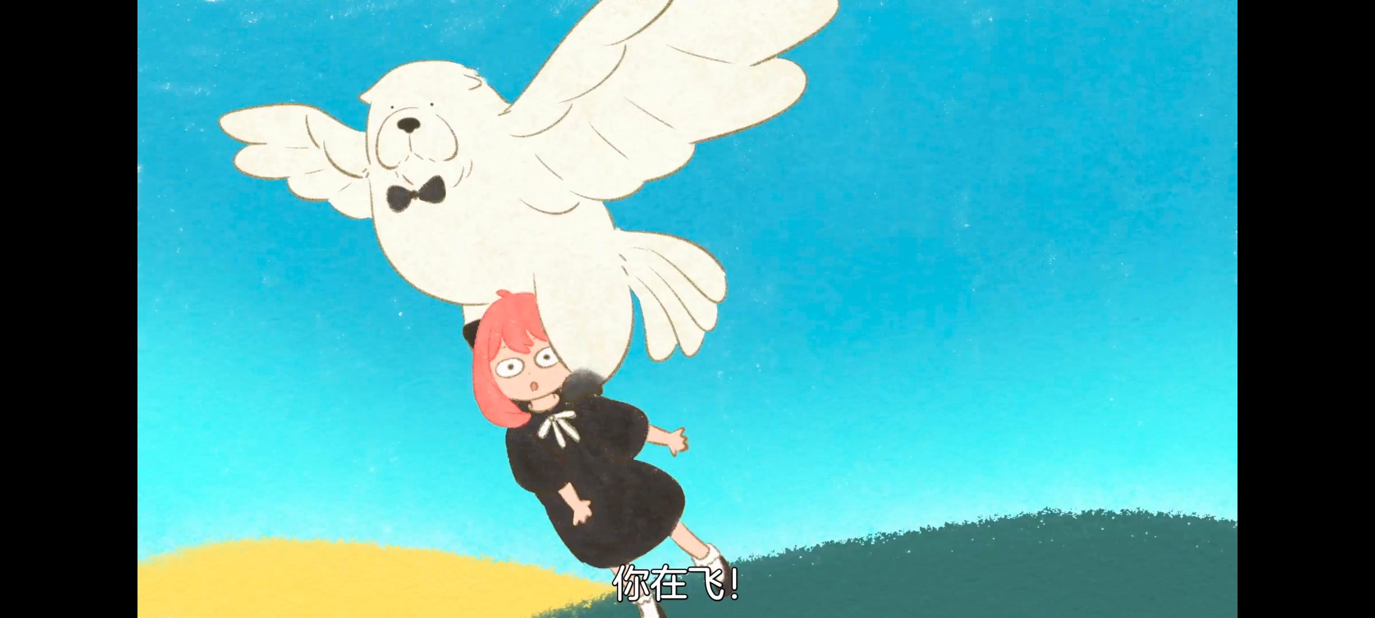 间谍过家家,SPYFAMILY,动画,动漫,番剧,ACG