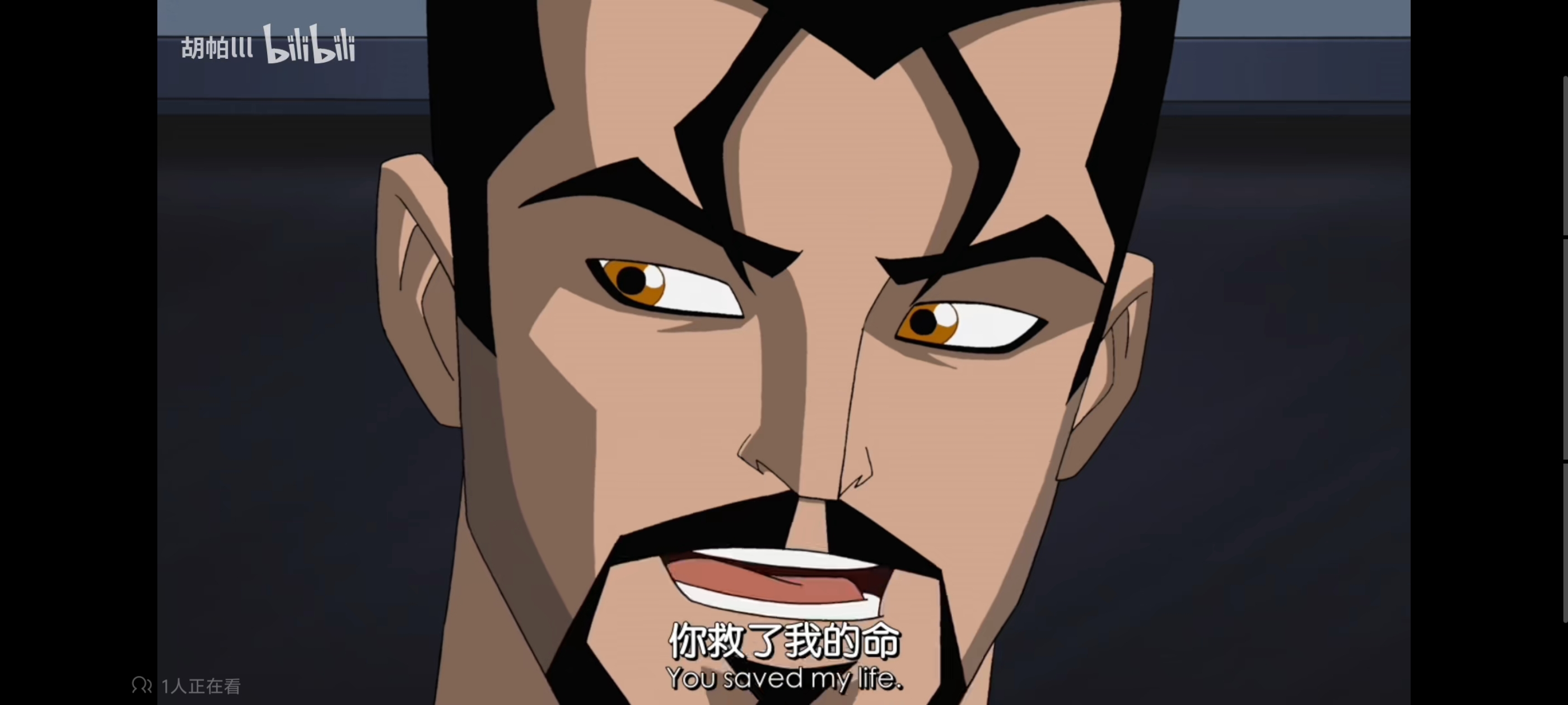 复仇者世界上最强英雄组合,超级英雄联盟复仇者,动画,动漫,番剧,复仇者联盟,ACG