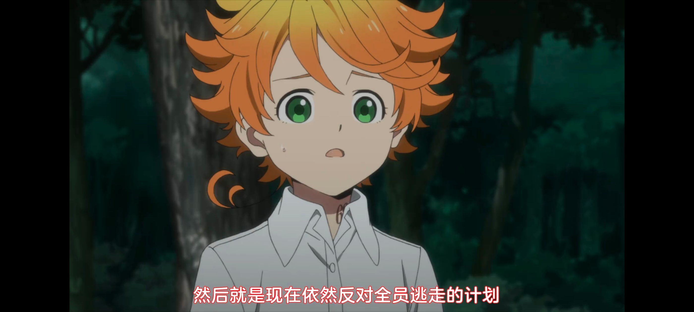 约定的梦幻岛,动画,动漫,番剧,ACG