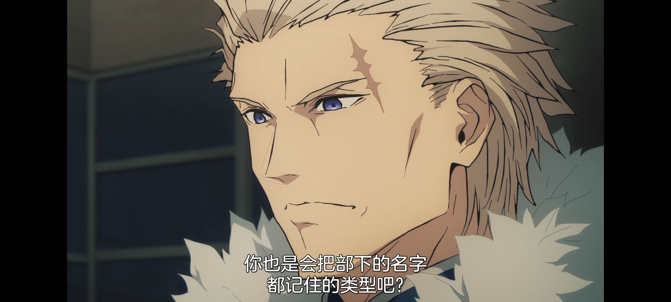 命运奇异赝品,FATE,FatestrangeFake,动画,动漫,番剧,二次元,ACG