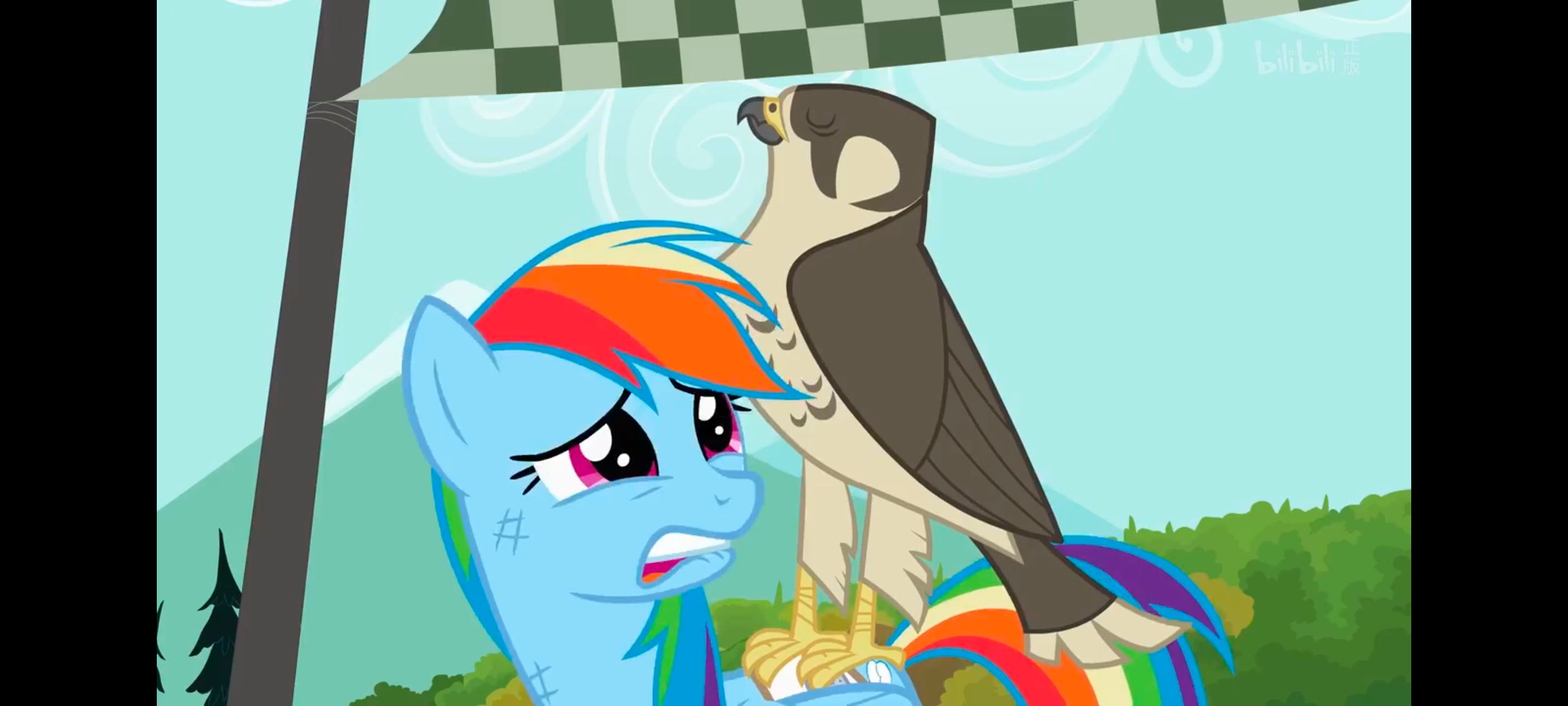 小马宝莉,彩虹小马,我的小马驹,动画,动漫,番剧,二次元,ACG