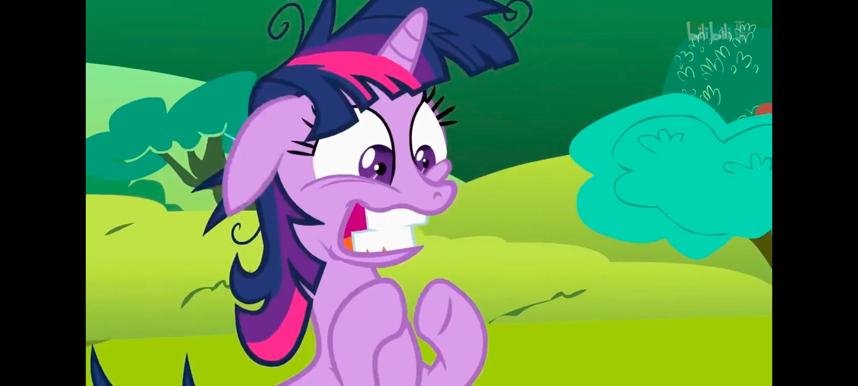 小马宝莉,小马宝莉友谊魔法,彩虹小马,我的小马驹,动画,动漫,番剧,ACG