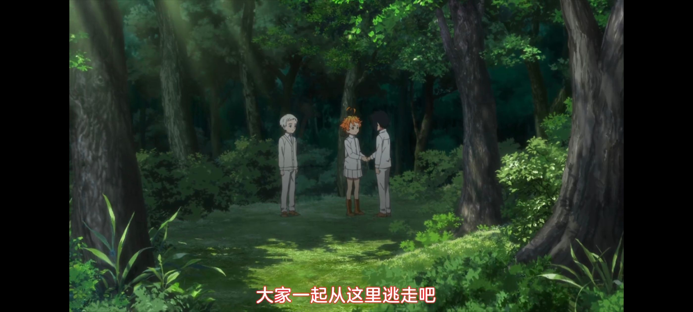 约定的梦幻岛,动画,动漫,番剧,ACG