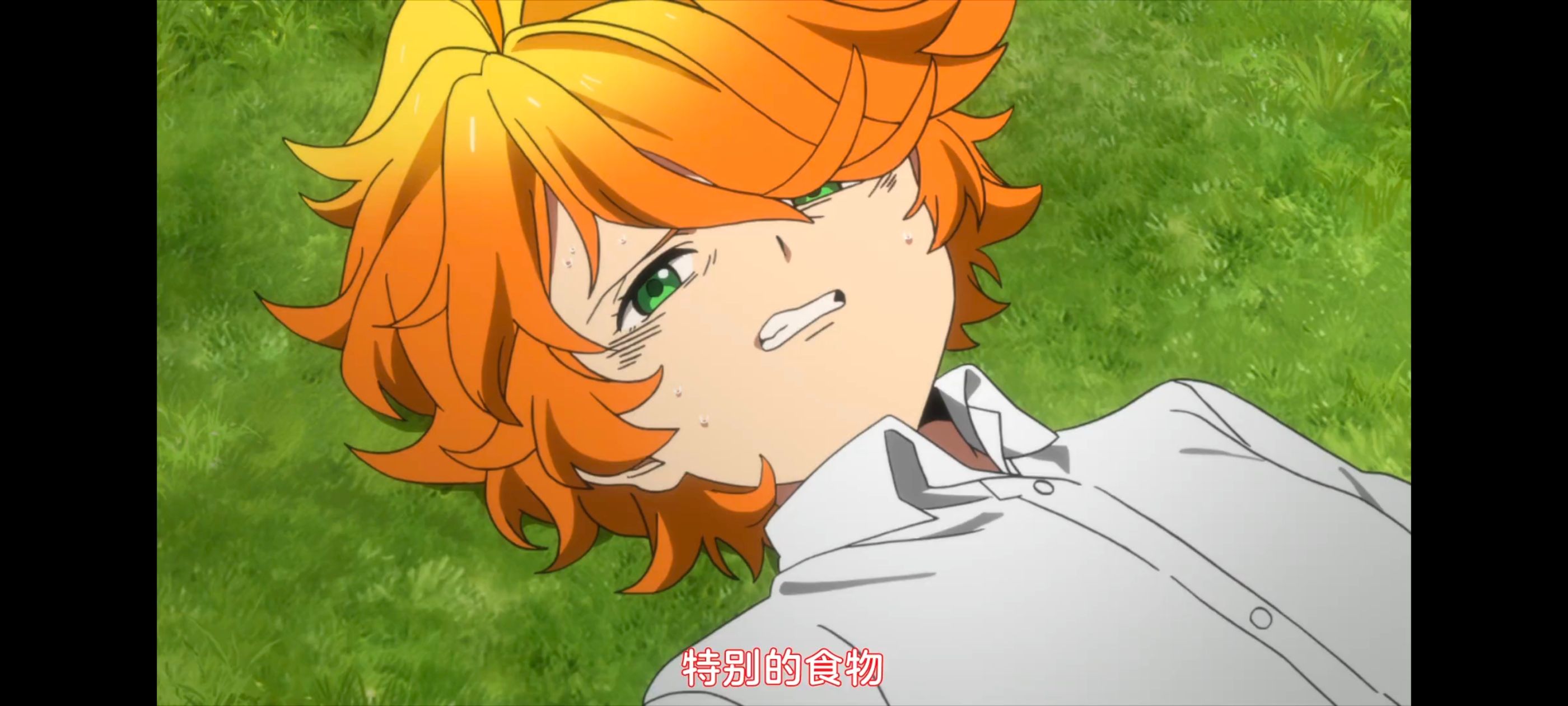 约定的梦幻岛,动画,动漫,番剧,二次元,ACG