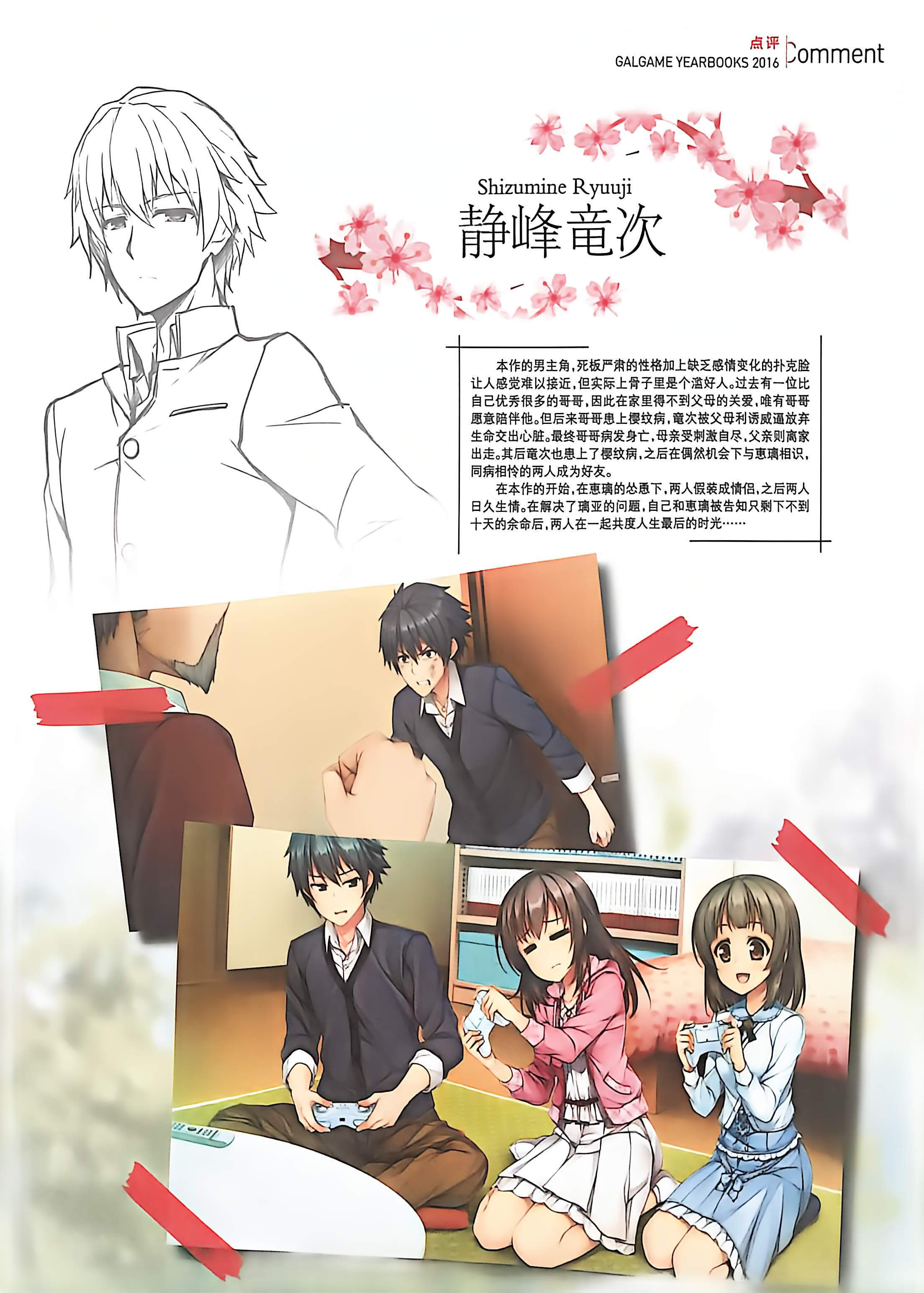 二次元狂热,GALgame,恋爱游戏