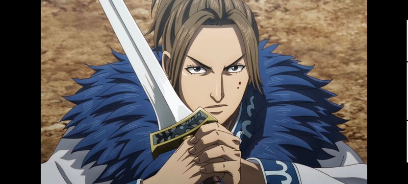 王者天下,动画,动漫,番剧,ACG