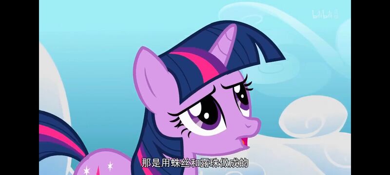 小马宝莉,小马宝莉友谊魔法,彩虹小马,我的小马驹,动画,动漫,番剧,ACG