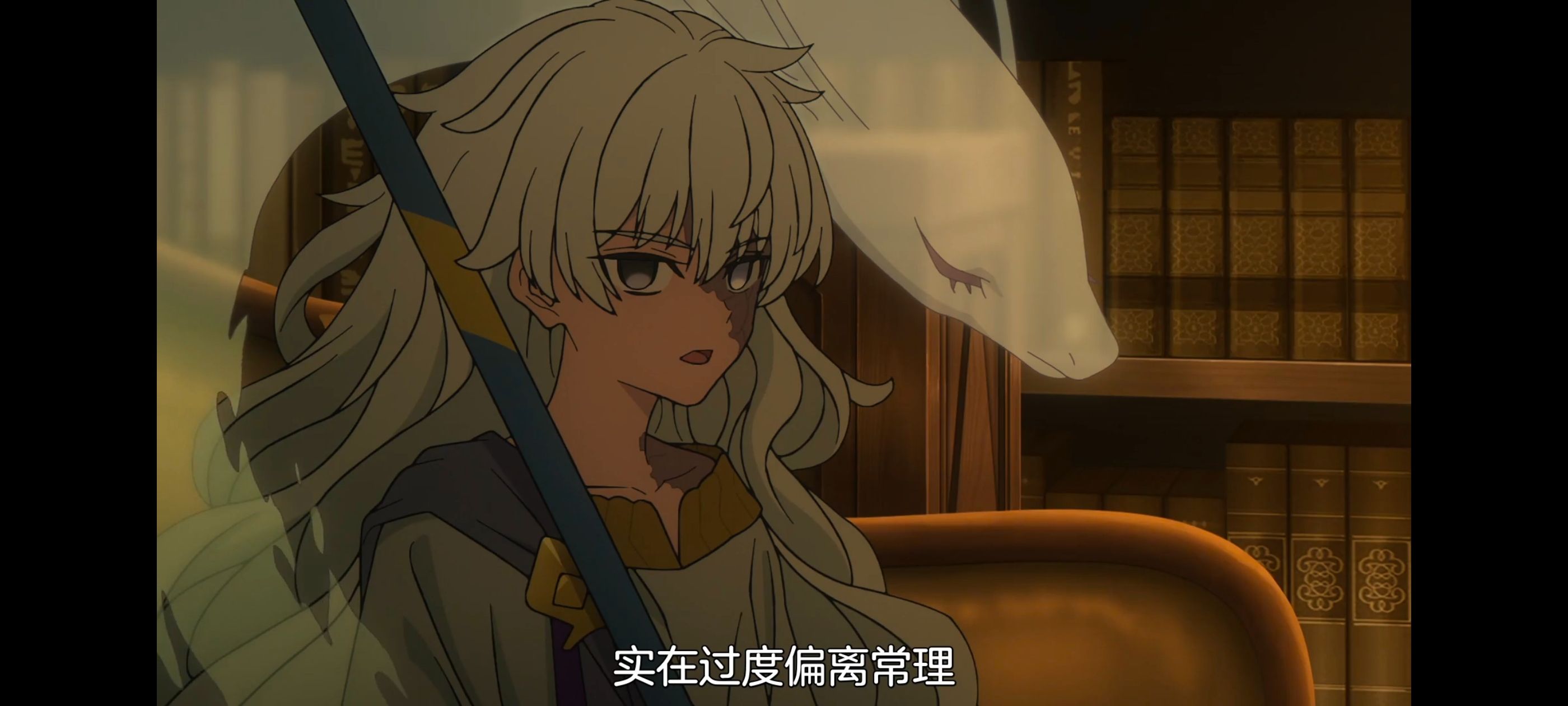 命运奇异赝品,FatestrangeFake,动画,动漫,番剧,ACG