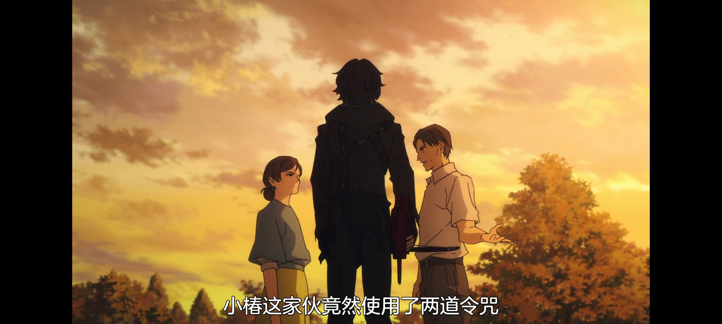 FATE,命运奇异赝品,FatestrangeFake,动画,动漫,番剧,二次元,ACG