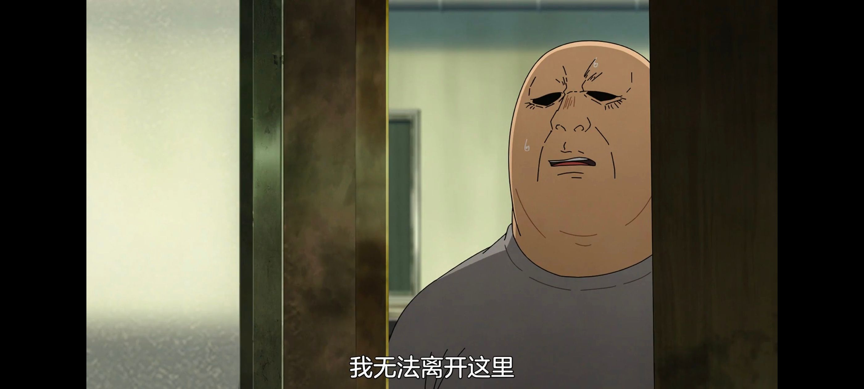 尼古喵喵,雅尼猫,动画,动漫,番剧,二次元,日漫,ACG
