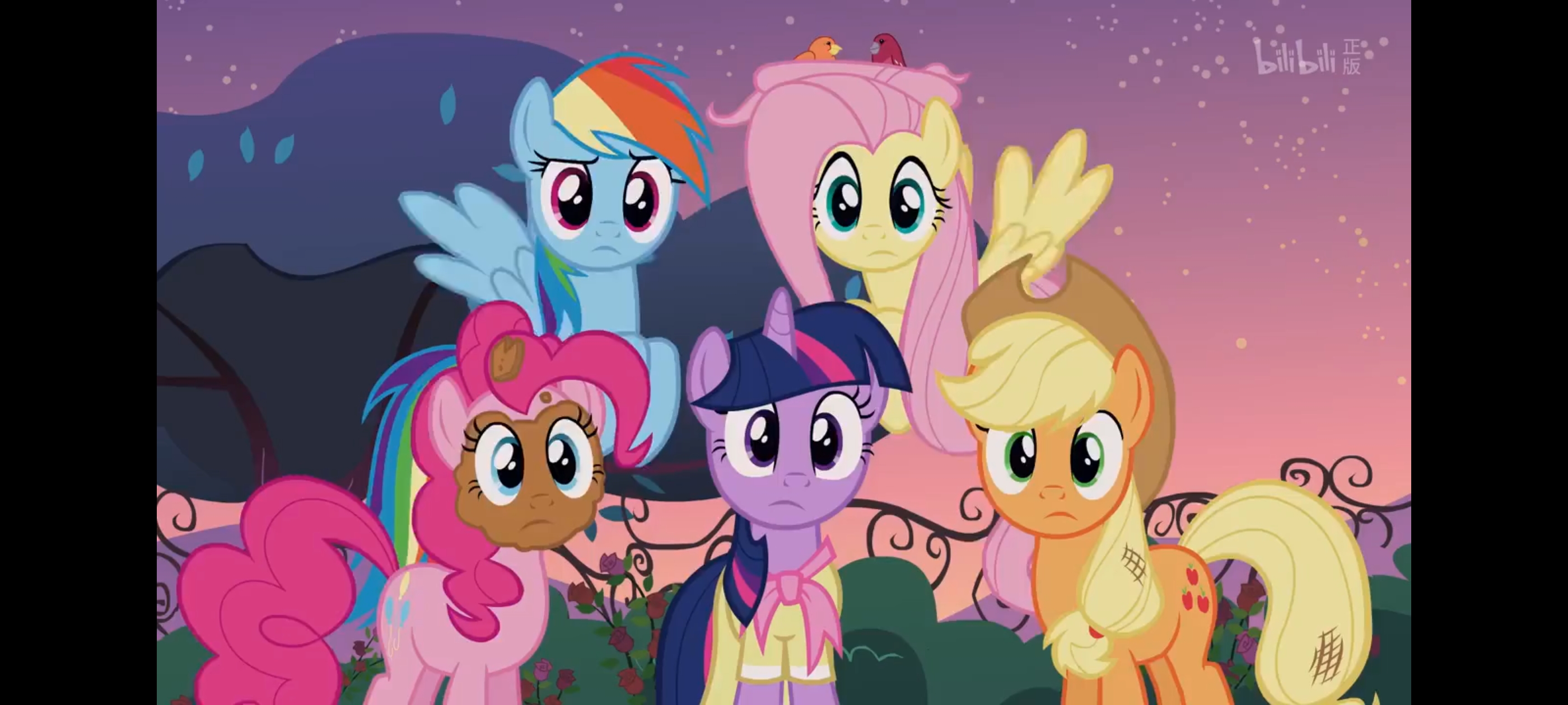 小马宝莉,彩虹小马,我的小马驹,动画,动漫,番剧,ACG