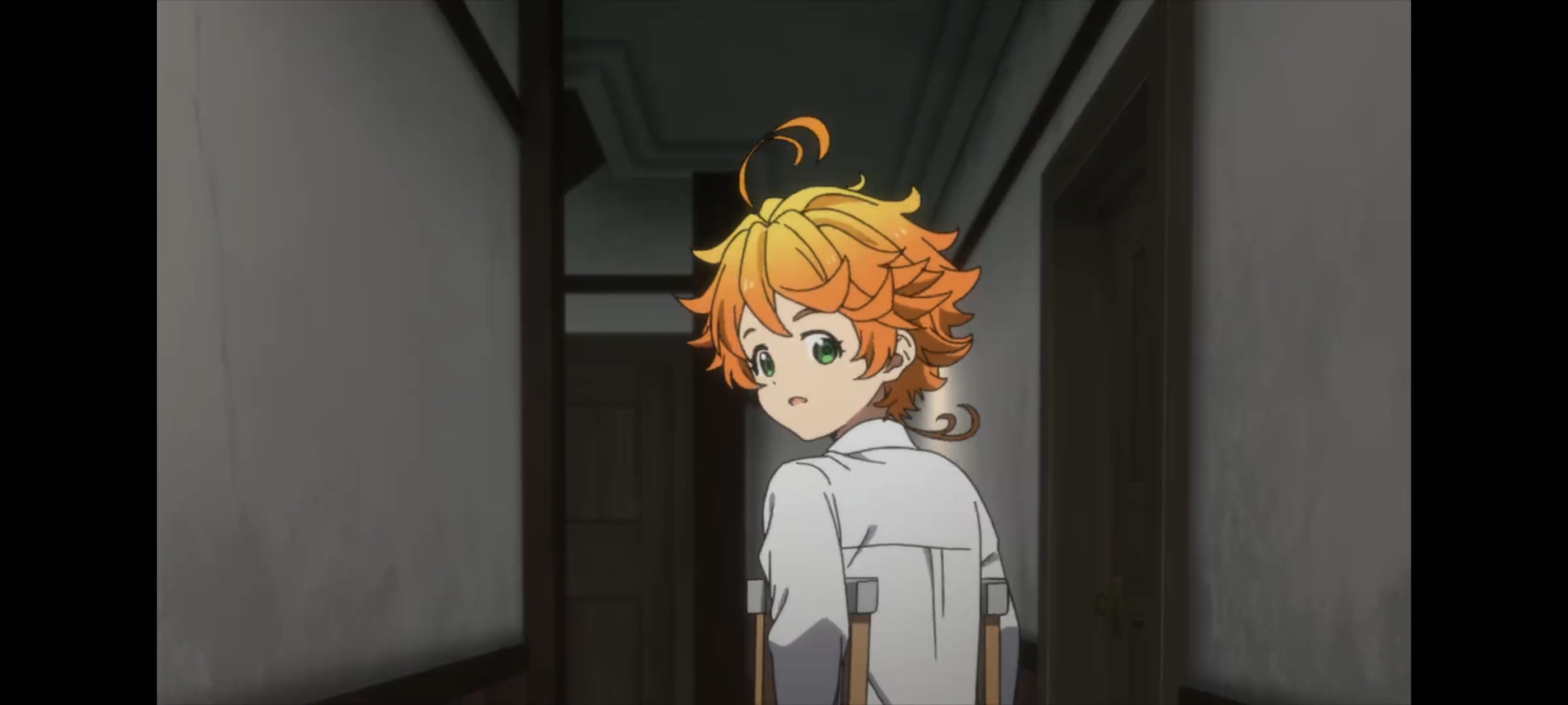 约定的梦幻岛,动画,动漫,番剧,二次元,ACG