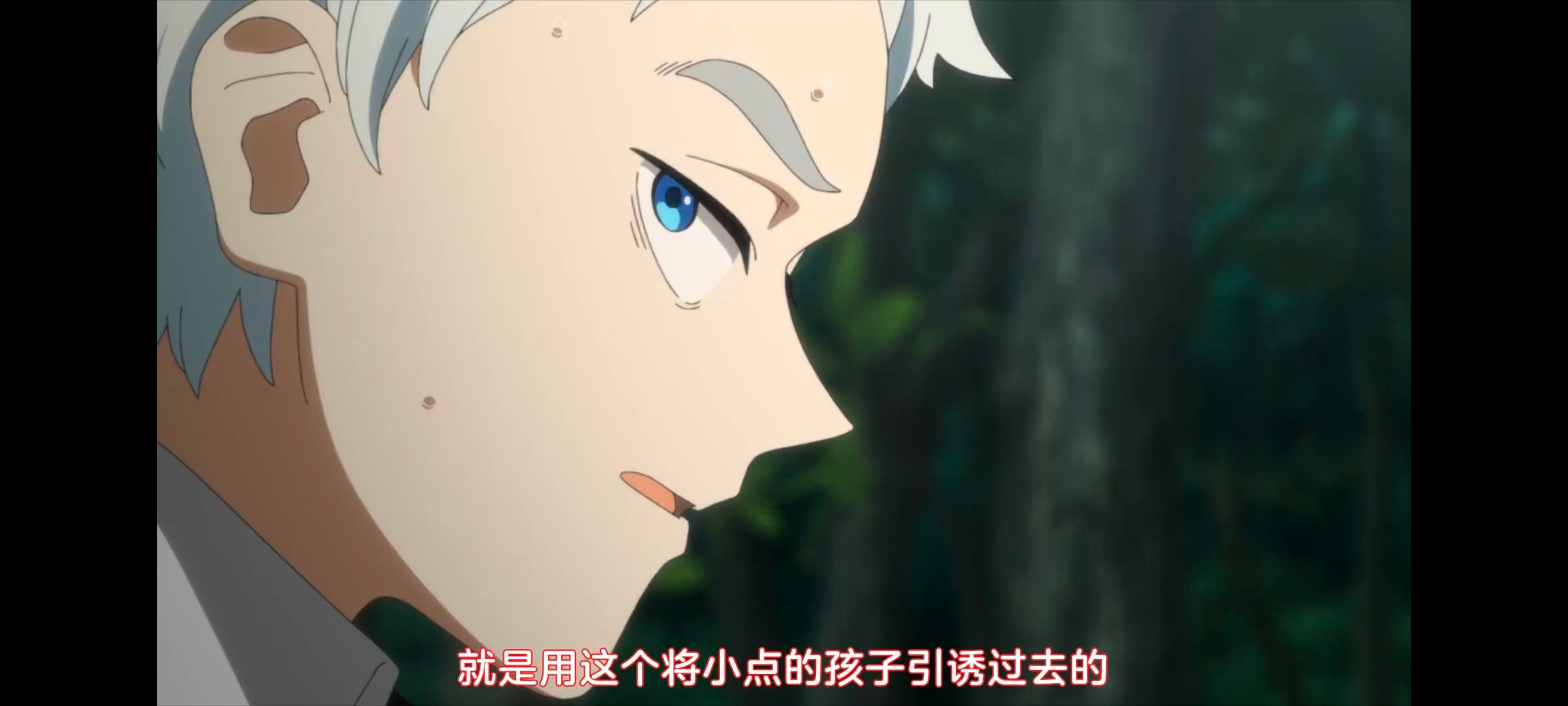 约定的梦幻岛,动画,动漫,番剧,ACG