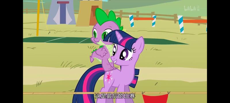 小马宝莉,小马宝莉友谊魔法,彩虹小马,我的小马驹,动画,动漫,番剧,ACG