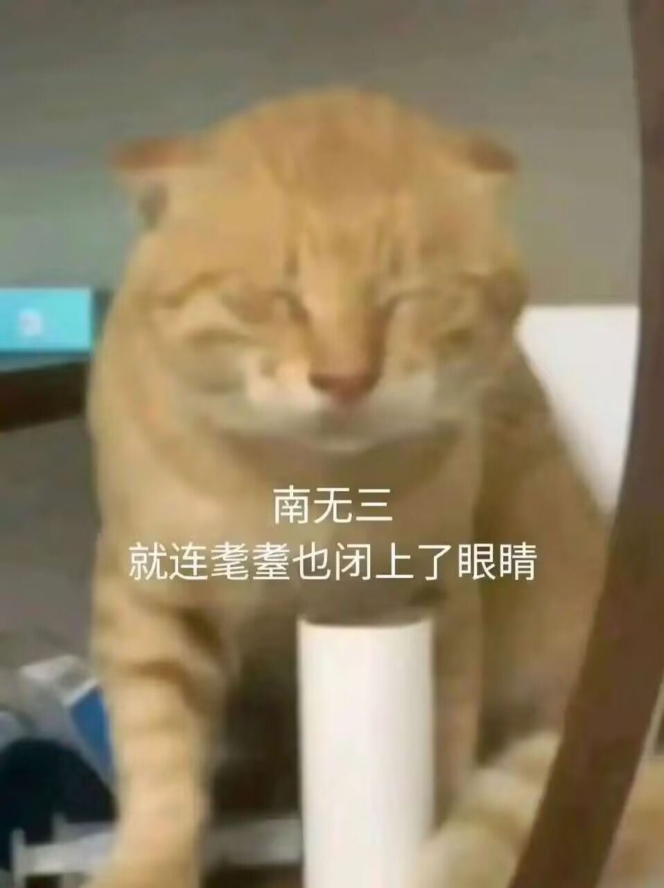 弔图,meme,迷因