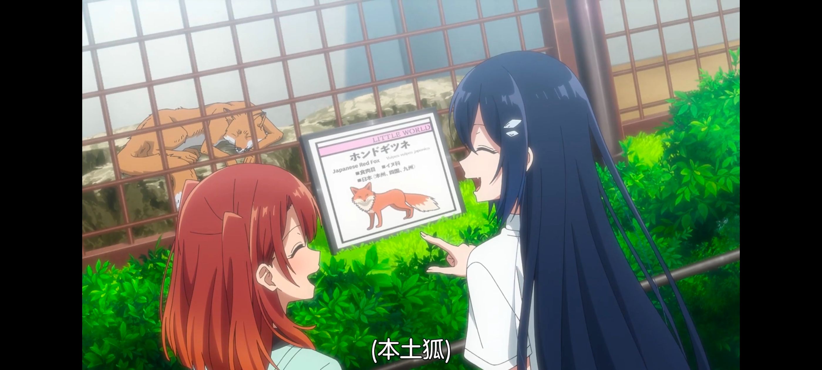 想吃掉我的非人少女,对我垂涎欲滴的非人少女,百合,百合动漫,动画,动漫,番剧,ACG