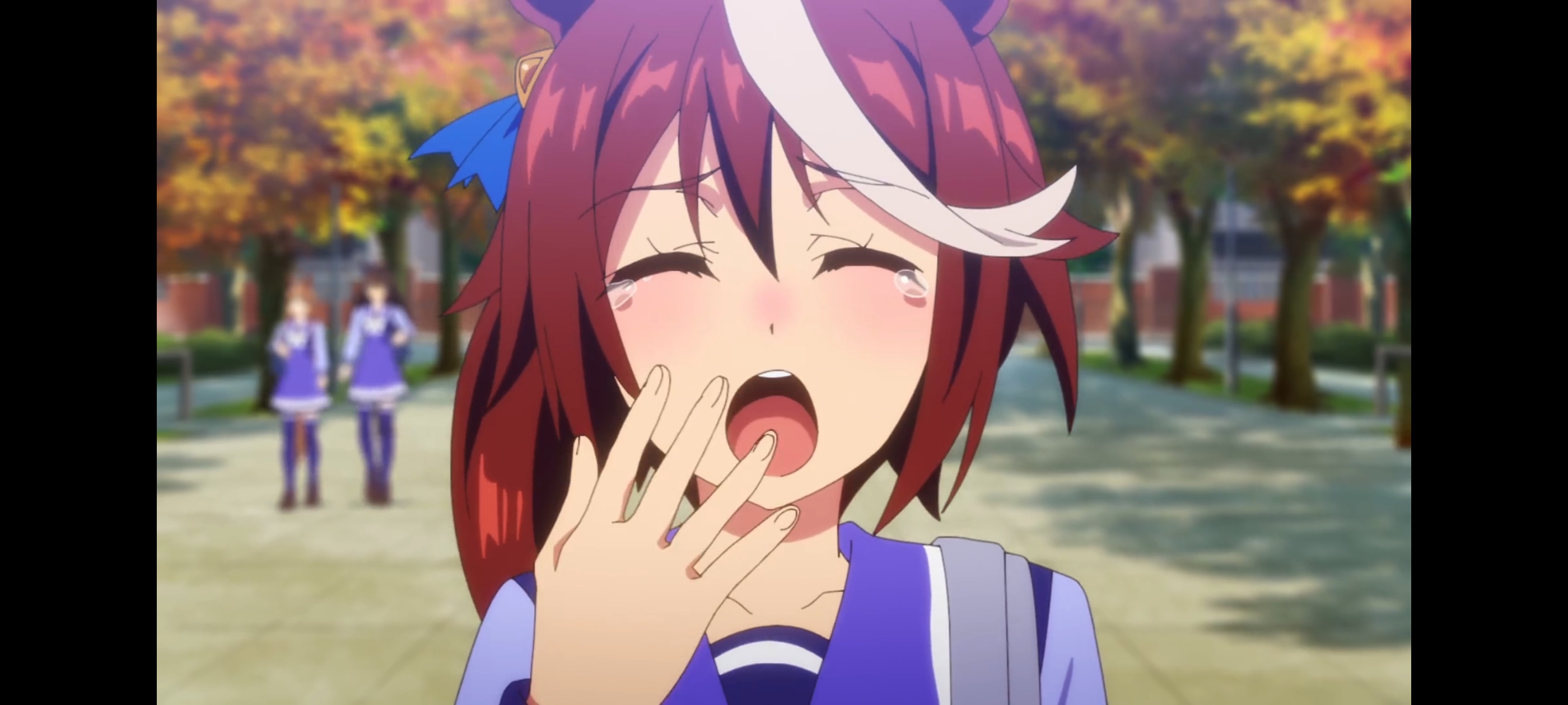 赛马娘,赛马娘第二季,动画,动漫,番剧,二次元,ACG