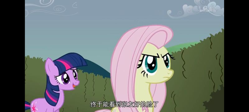 小马宝莉,小马宝莉友谊魔法,彩虹小马,我的小马驹,动画,动漫,番剧,ACG