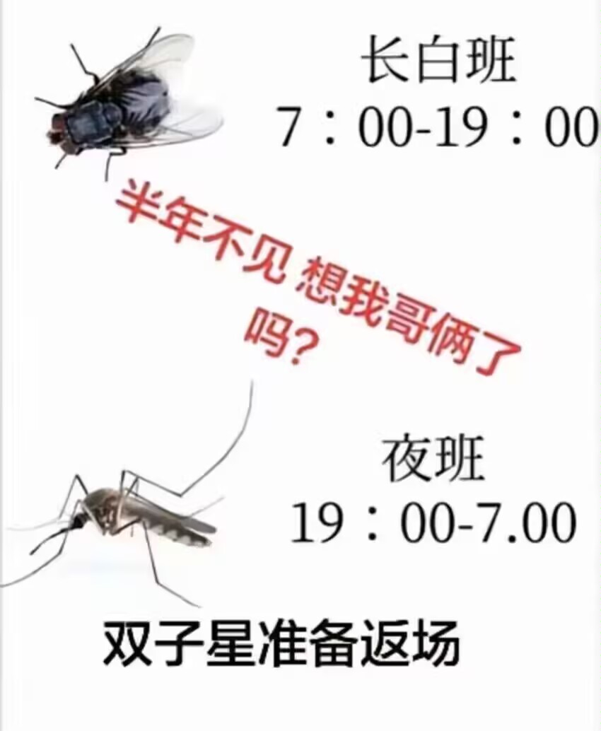 蚊子,广东,回南天