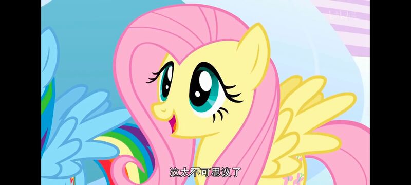 小马宝莉,小马宝莉友谊魔法,彩虹小马,我的小马驹,动画,动漫,番剧,ACG