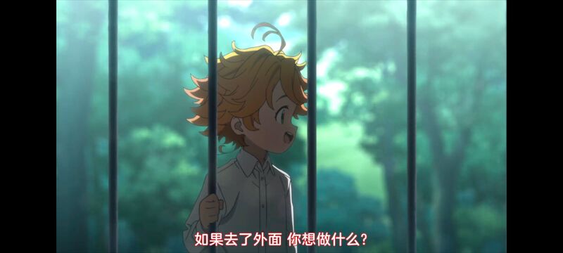 约定的梦幻岛,动画,动漫,番剧,ACG