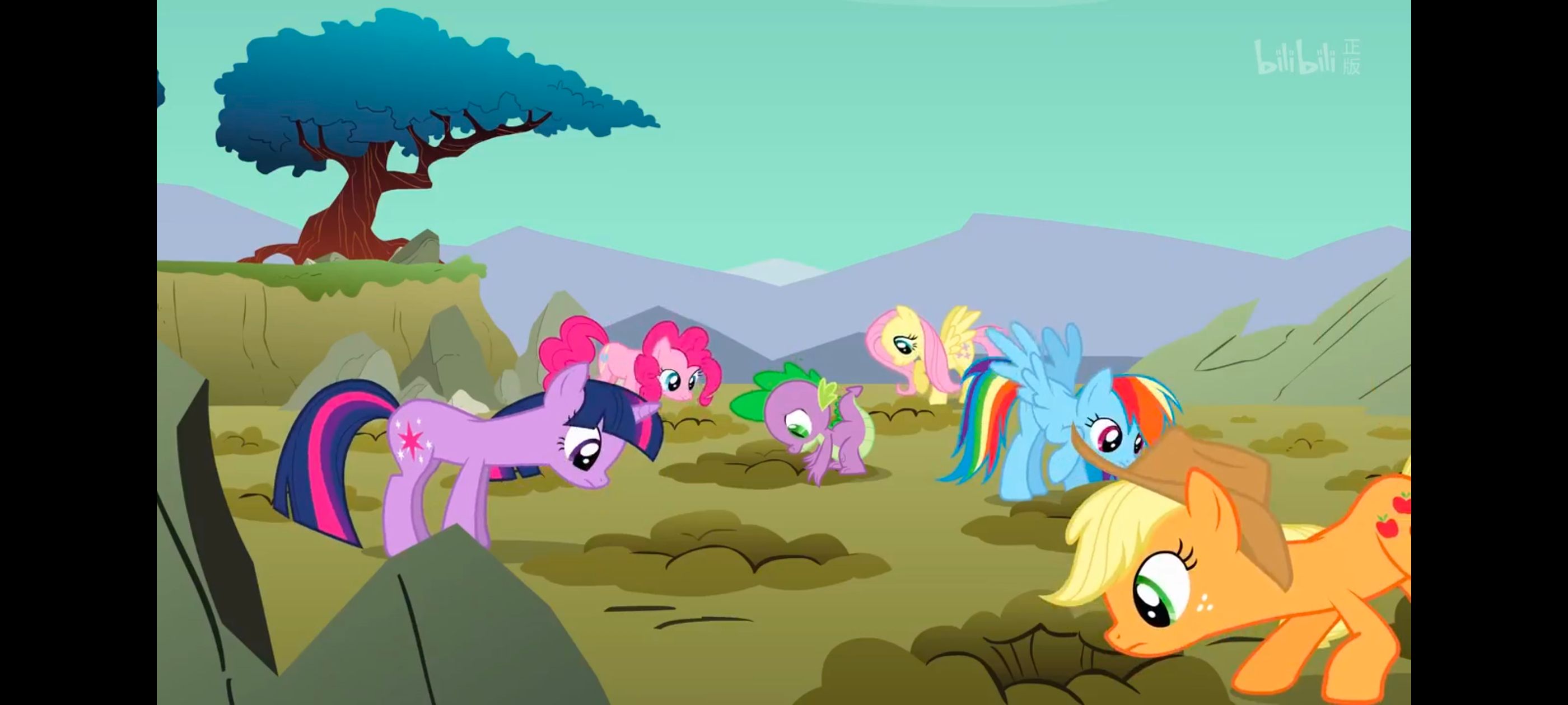 彩虹小马,小马宝莉,我的小马驹,小马宝莉友谊魔法,动画,动漫,番剧,ACG