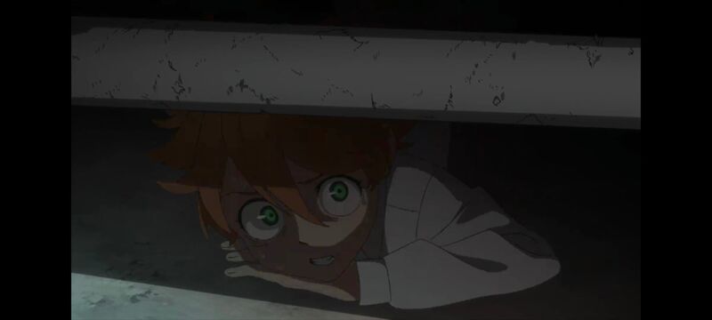 约定的梦幻岛,动画,动漫,番剧,ACG