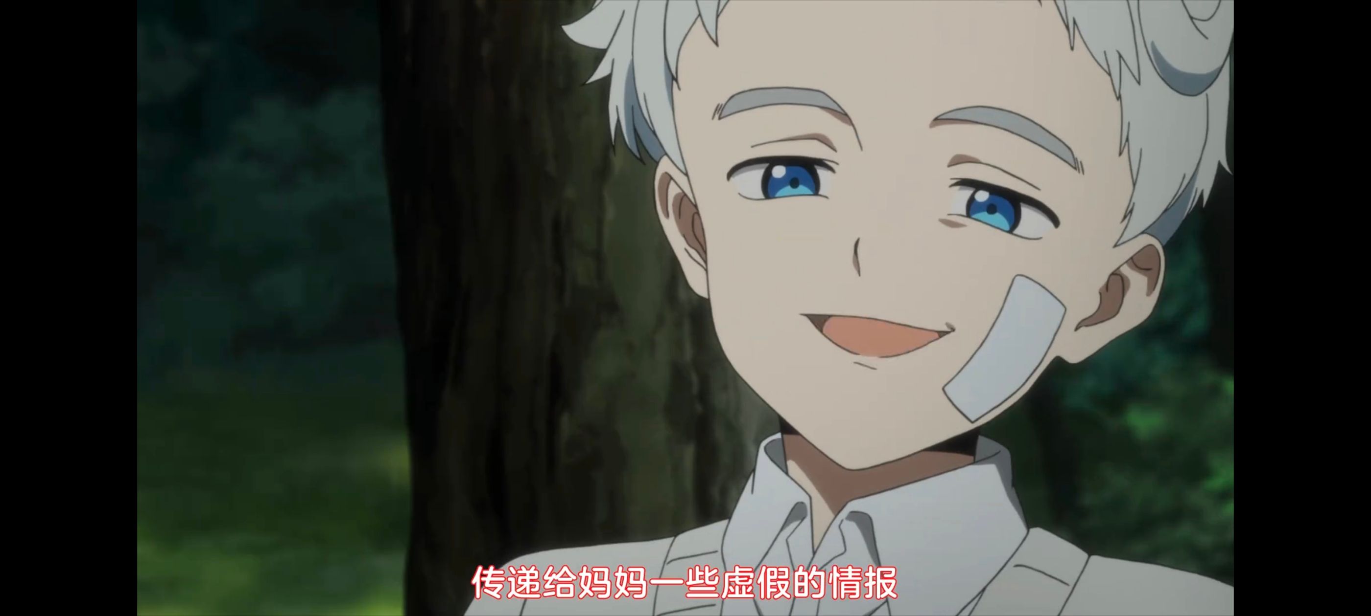 约定的梦幻岛,动画,动漫,番剧,ACG