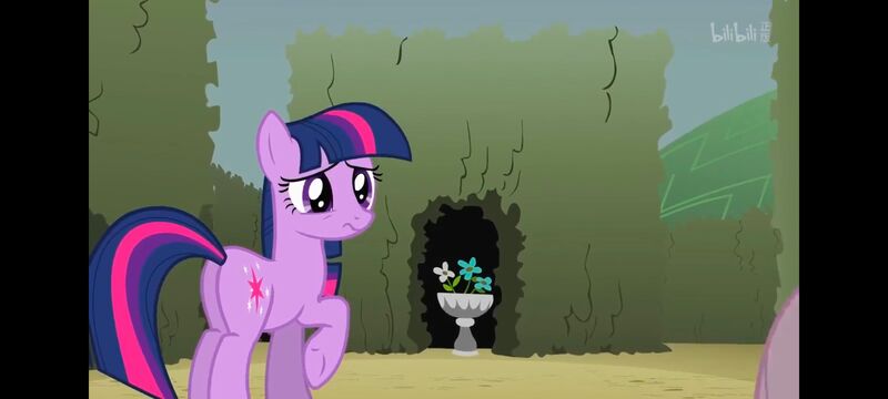 小马宝莉,小马宝莉友谊魔法,彩虹小马,我的小马驹,动画,动漫,番剧,ACG