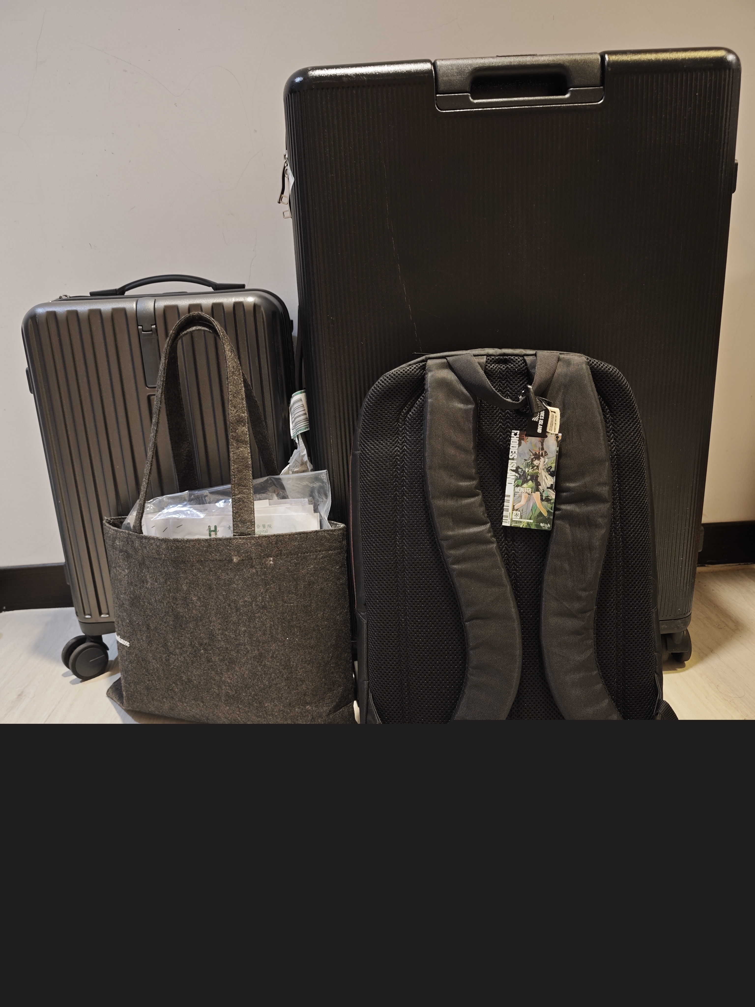 惑鹿,鹿日常,新年快乐