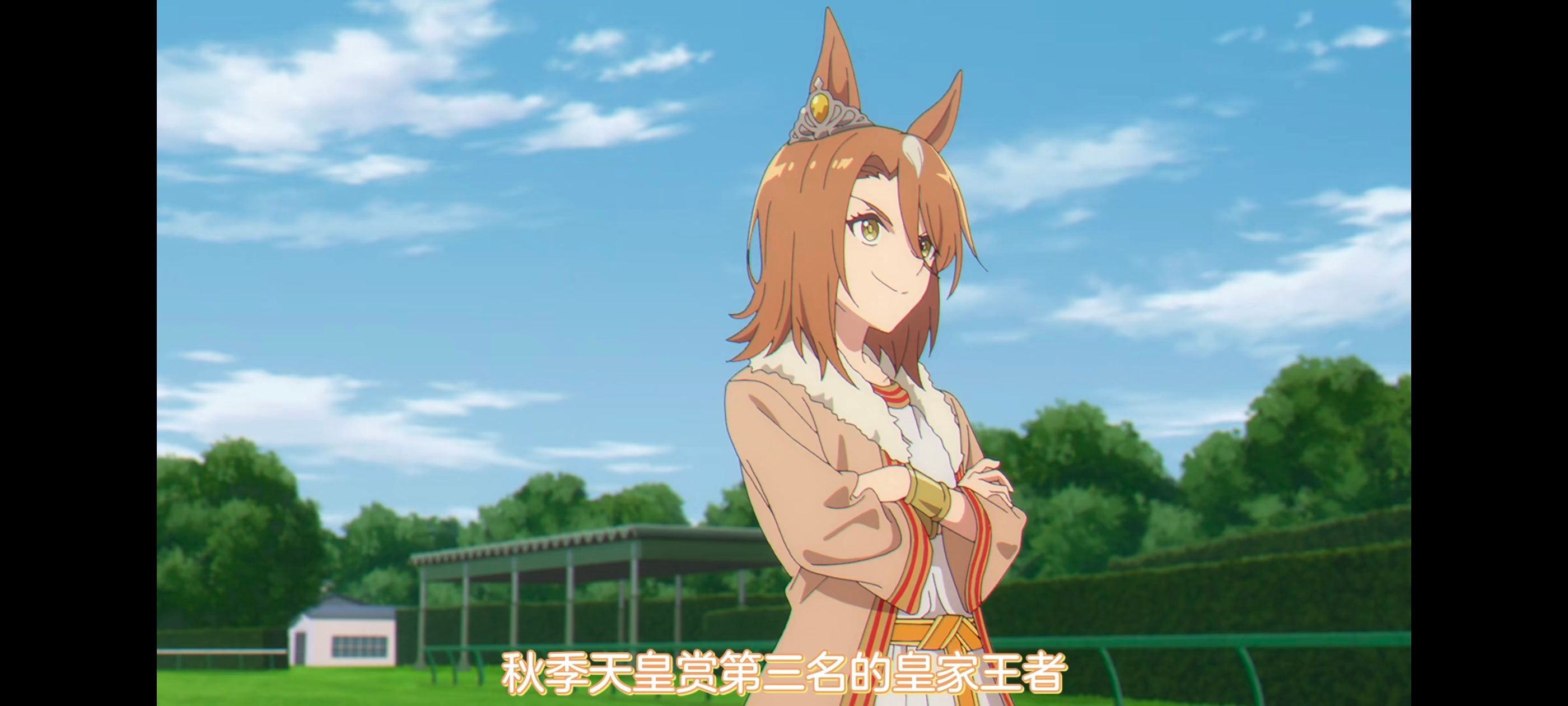 赛马娘,赛马娘PrettyDreby,赛马娘芦毛灰姑娘,芦毛灰姑娘,动画,动漫,番剧,ACG