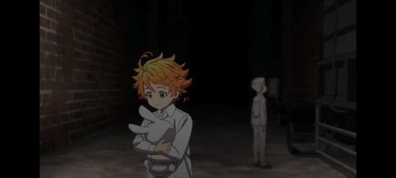 约定的梦幻岛,动画,动漫,番剧,ACG