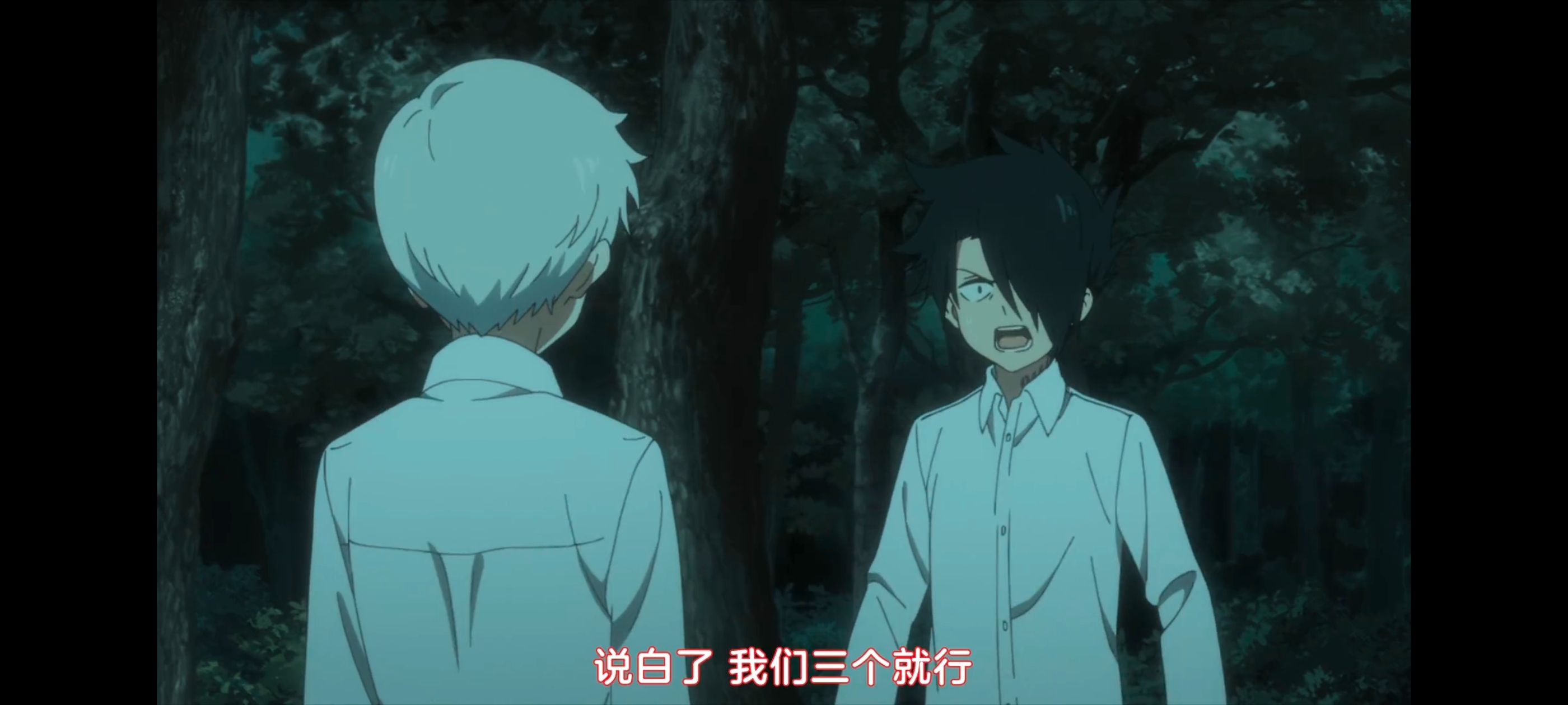 约定的梦幻岛,动画,动漫,番剧,ACG