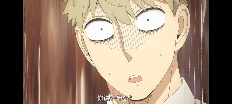 间谍过家家,SPYFAMILY,动画,动漫,番剧,ACG