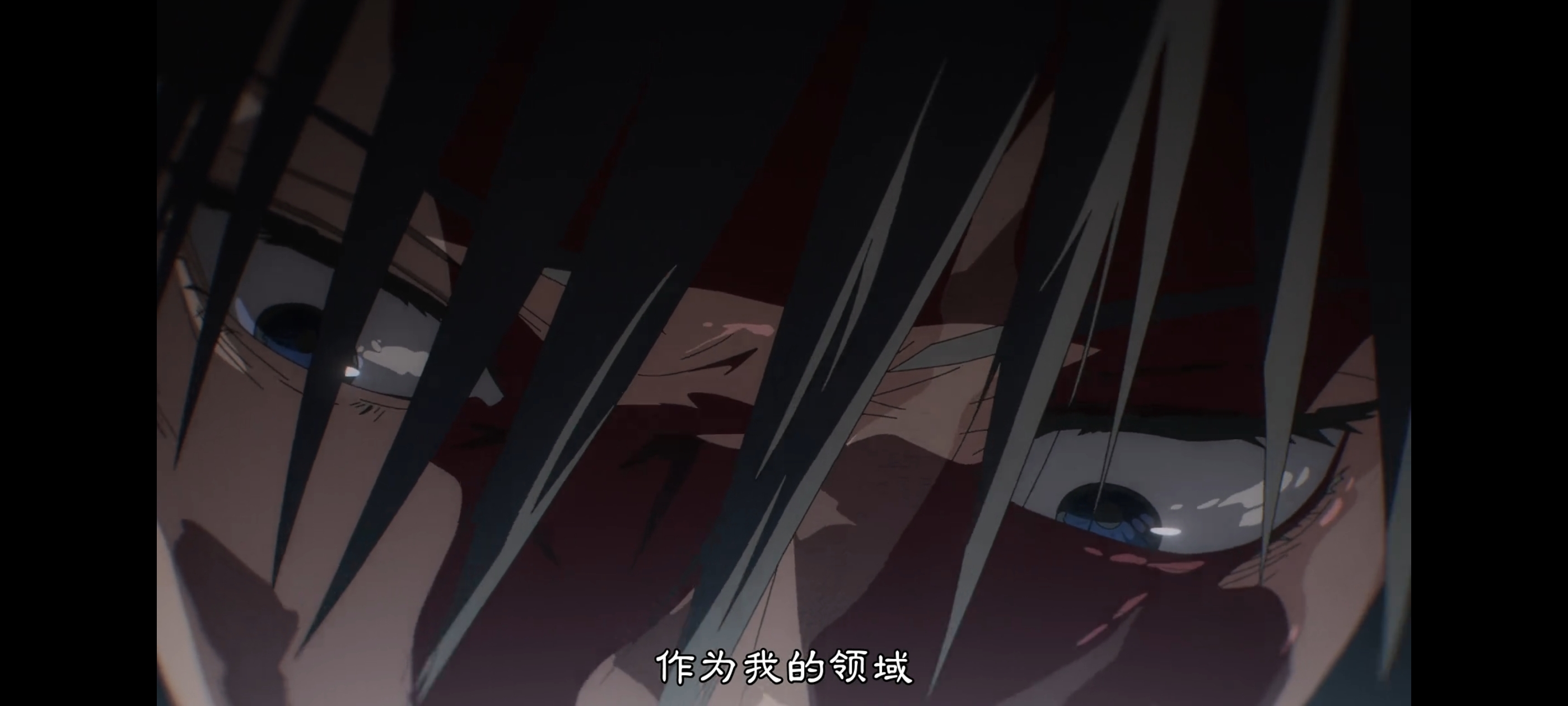 咒术回战,咒术回战死灭回游,动画,动漫,番剧,二次元,ACG