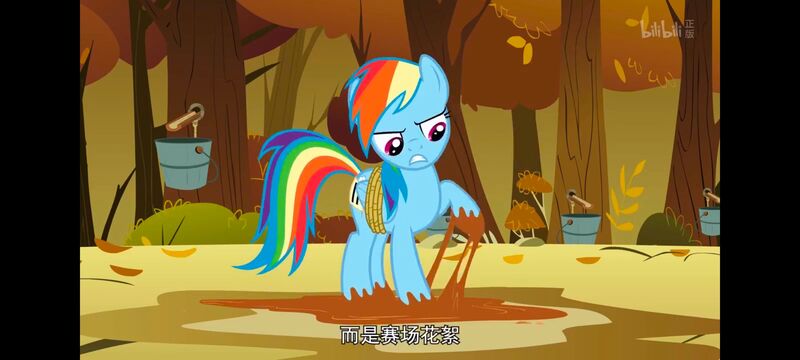 小马宝莉,小马宝莉友谊魔法,彩虹小马,我的小马驹,动画,动漫,番剧,ACG