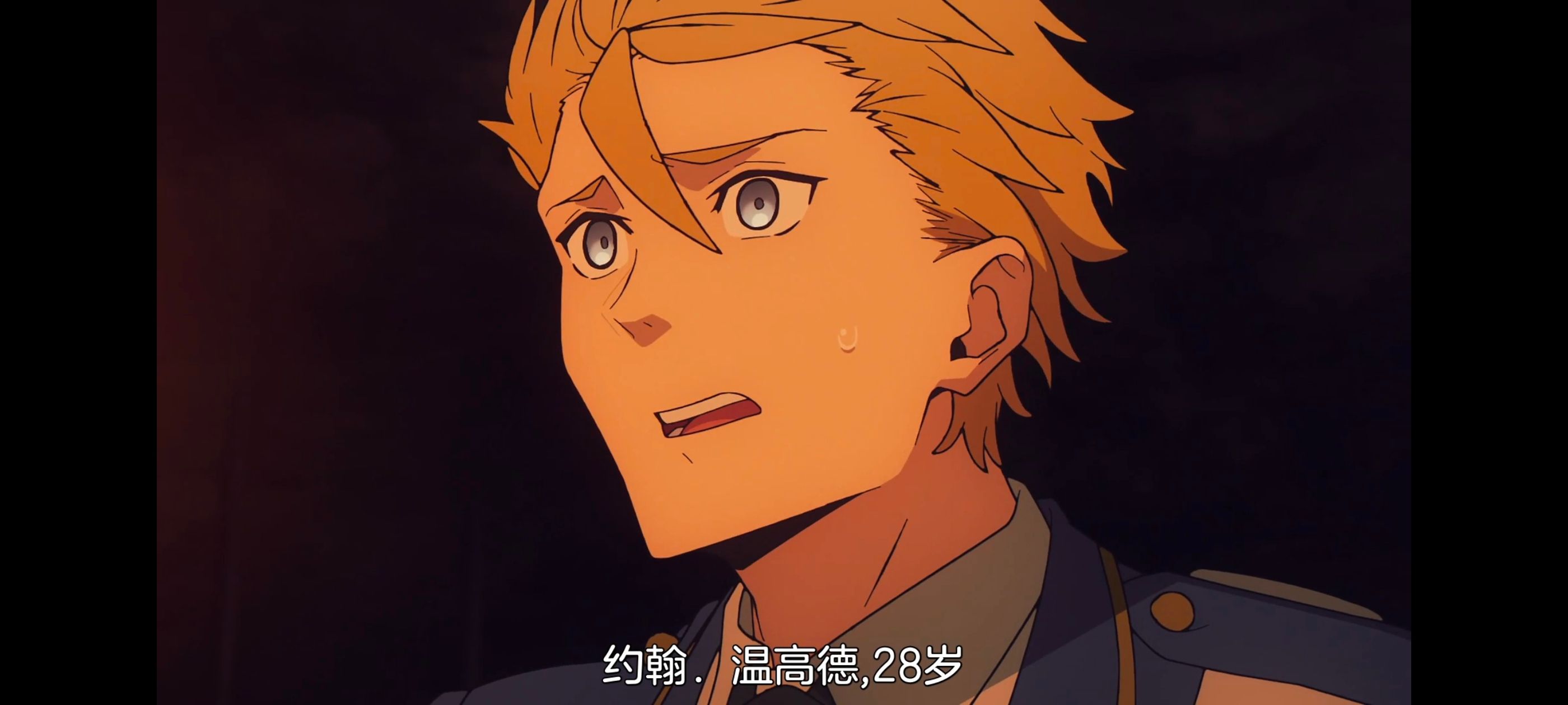 命运奇异赝品,FatestrangeFake,FATE,动画,动漫,番剧,二次元,ACG