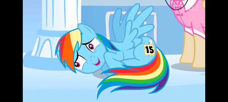 小马宝莉,小马宝莉友谊魔法,彩虹小马,我的小马驹,动画,动漫,番剧,ACG