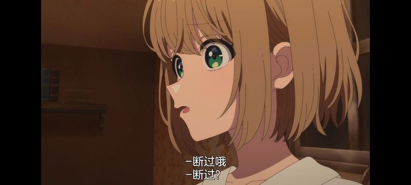 与你相恋到生命尽头,与你相恋到世界尽头,百合,动画,动漫,番剧,二次元,日漫,ACG,只愿深入爱河直至你逝去