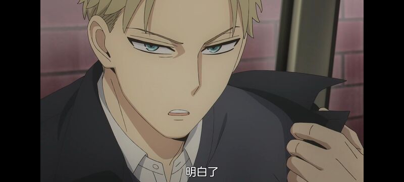 间谍过家家,SPYFAMILY,动画,动漫,番剧,ACG